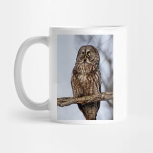 Great Grey Owl Mug